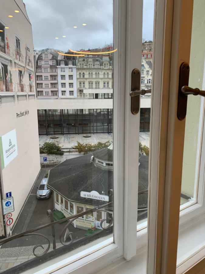 Bella Vista Collonade Apartment Karlovy Vary